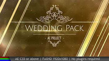 پروژه افترافکت Wedding Pack-20038431