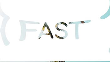 Fast Slideshow-78223