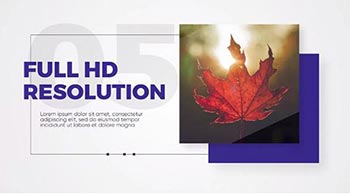 Loop - Clean Promo-71098