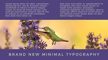 Modern Typography-61257
