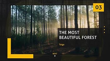 Stylish Slideshow-115338