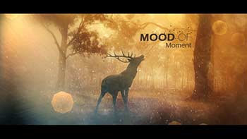 Mood Of Moments Parallax-20672854