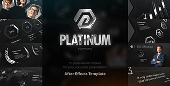 Platinum Corporate Package-8209985