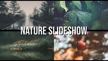 Nature Slideshow-127900