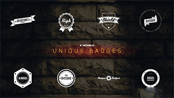 Unique Badges-17142042