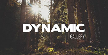 Dynamic Gallery-10470167