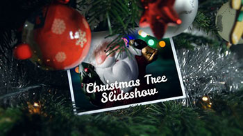 Christmas Tree Placeholders-23019039