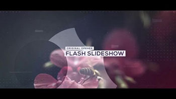 Split Flash Slideshow-137855