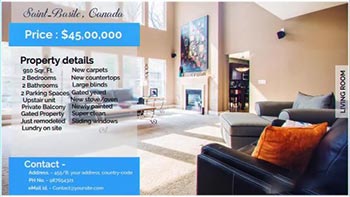 Real Estate Display-137971