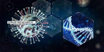 Virus-19600939