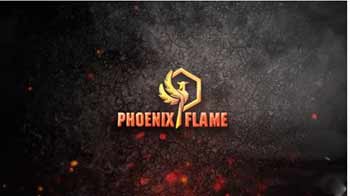 Fire Particle Logo-242418