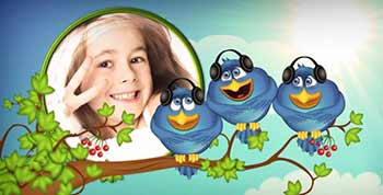 Birds Life-6517639