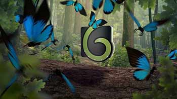 Butterfly Logo-19556474