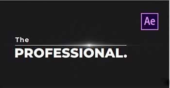 The Professiona-242938