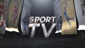 Logo Flags Reveal-11864284