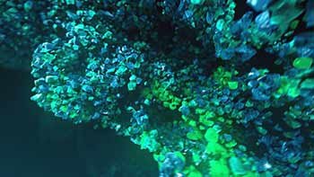 Underwater Rocks-25903001
