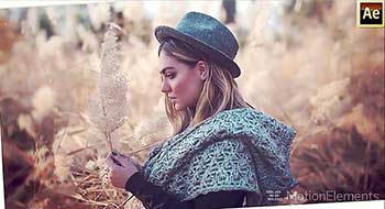 Catchy Frames-14166527