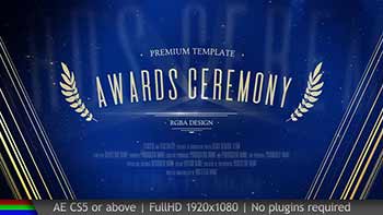 Awards-20645417