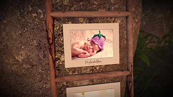 Photo Gallery In A Sunny-357920