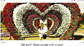 Photo Slideshow-11554274