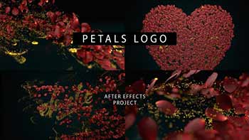 Petals Logo-26498649
