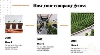 Minimal Company-166760