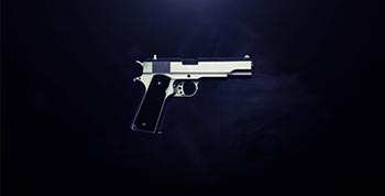 Gun Reveal-20091543