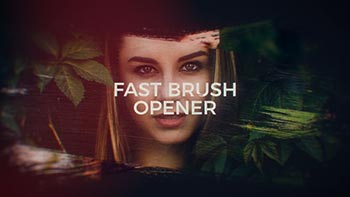 Fast Brush Opener-20381404