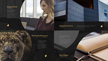 Elegant Slides-17646053