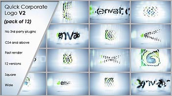 Quick Corporate Logo V2-13994852