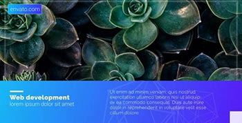 Minimal Presentation-20121908
