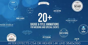Badges-14686685