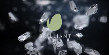 Brilliant Logo-15317598