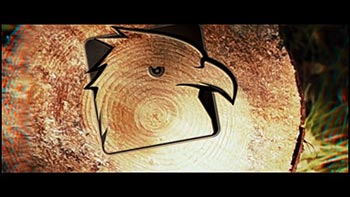 Saw Cut Tree-23342078