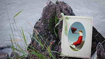 Photo Gallery-5991662