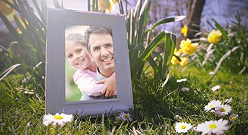Happy Spring Time-11648554