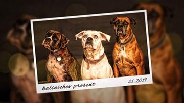 Photographer Slideshow-185896