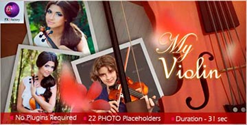 My Violin-5466087