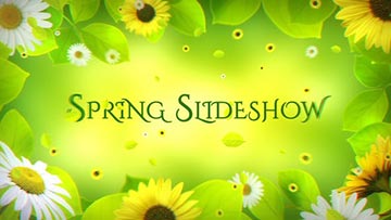 Spring Slideshow-21839087