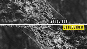 Slideshow-10341731