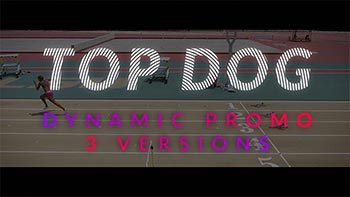 TOP DOG Dynamic-19209699