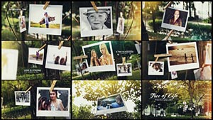 Tree of Life Photo Gallery-15795143