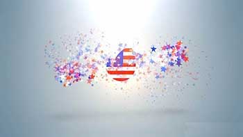 USA Ptriotic Logo-16281176