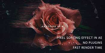 Pixel Sorting trailer-21414253