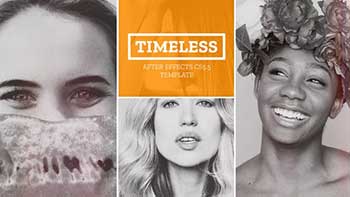 Timeless Parallax Gallery-23593457