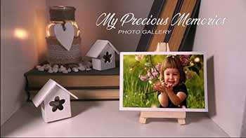 My Precious Memories-21464127