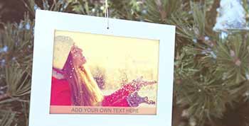 Winter Photo Gallery-10340369