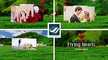 Flying Hearts Wedding Album-6623915