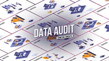 Data audit-28986817