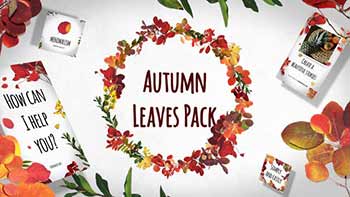 Autumn Leaves Pack-29195640